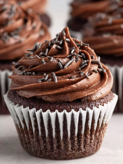 A chocolate cupcake with chocolate frosting.