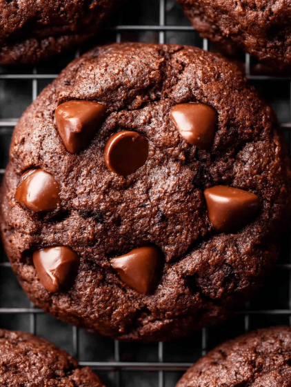 A close up of a chocolate brownie cookie with chocolate chips.