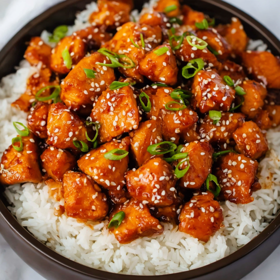A bowl of chicken with rice and green onions.