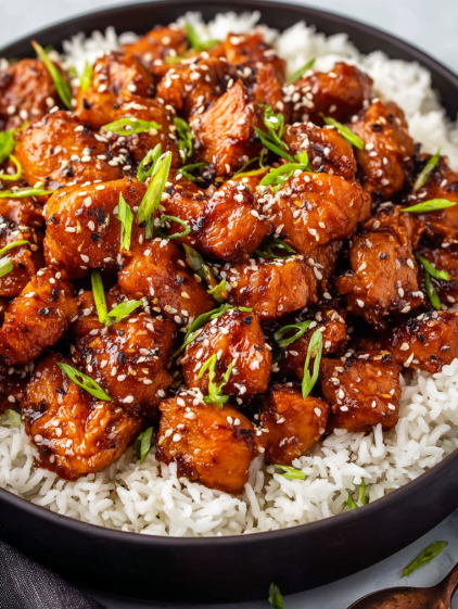 A bowl of chicken with rice and green onions.